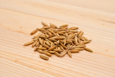 Similar image 297799