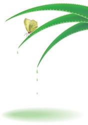 Similar image 297895