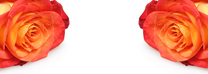 Similar image 297953