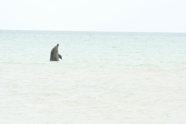 Similar image 297973