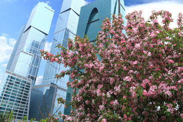 Similar image 298034