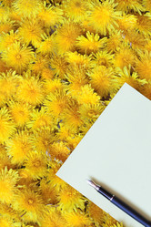 Similar image 298043