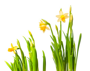 Similar image 298067