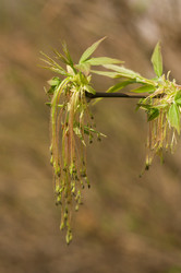 Similar image 298080