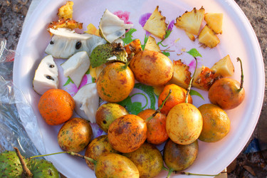 Similar image 298239