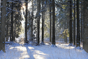 Similar image 298271