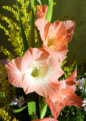 Similar image 298273