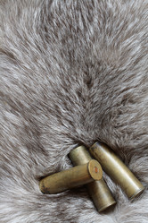 Similar image 298300