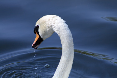 Similar image 298314