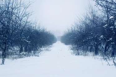 Similar image 298322