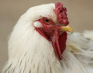 Similar image 298343