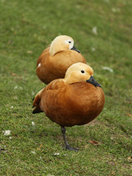 Similar image 298367