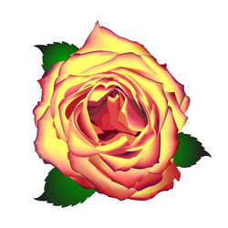 Similar image 298391