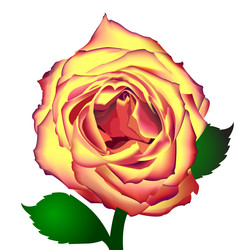 Similar image 298394