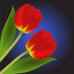 Similar image 298398