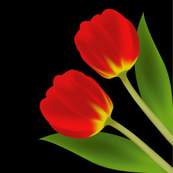 Similar image 298399