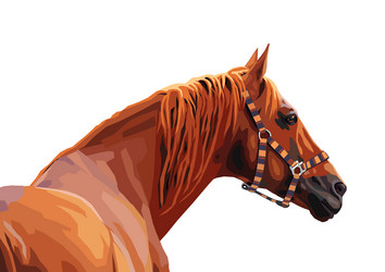 Similar image 298409