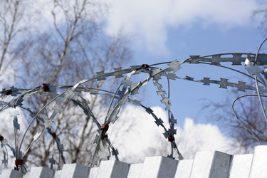 Similar image 298535