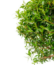 Similar image 298581