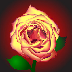 Similar image 298674