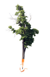 Similar image 298675