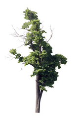 Similar image 298676