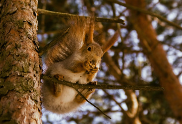 Similar image 298678