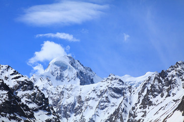 Similar image 298695