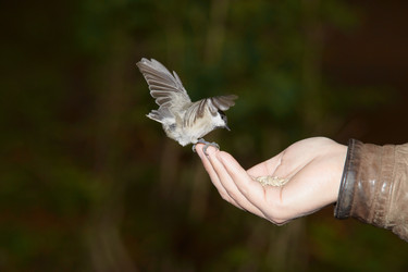 Similar image 298719