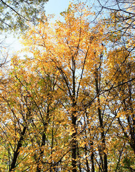 Similar image 298775