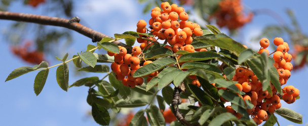 Similar image 298776