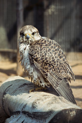 Similar image 298848