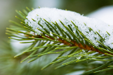 Similar image 298917