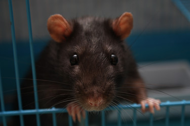 Similar image 299002