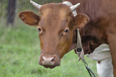 Similar image 299003