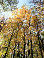 Similar image 299033