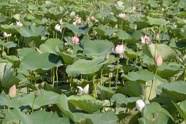 Similar image 299034