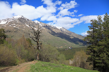 Similar image 299066