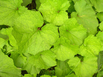 Similar image 299278