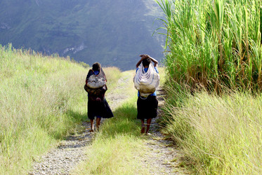 Similar image 299401