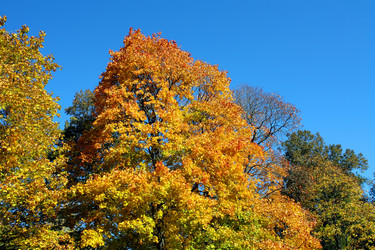 Similar image 299419