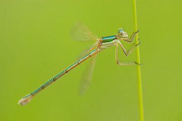 Similar image 299425