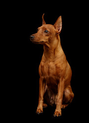 Similar image 299431