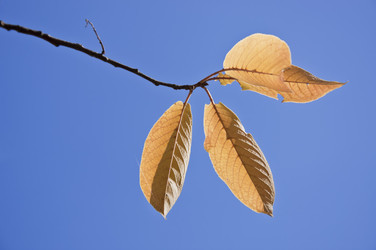 Similar image 299452