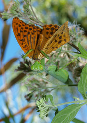 Similar image 299573