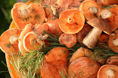 Similar image 299581