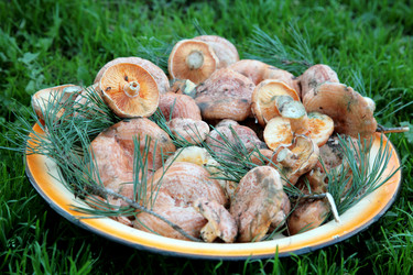 Similar image 299583