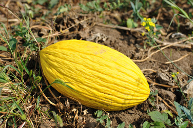 Similar image 299609