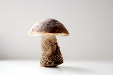 Similar image 299626