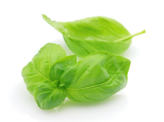 Similar image 299634